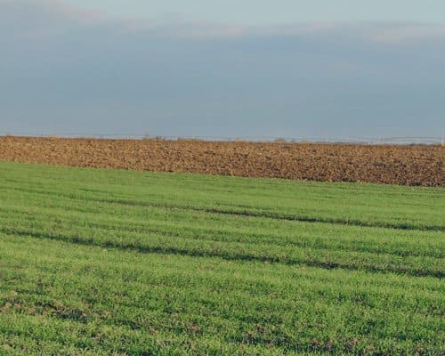 qu'est-ce qu'un Comité d'Entreprise CE ?